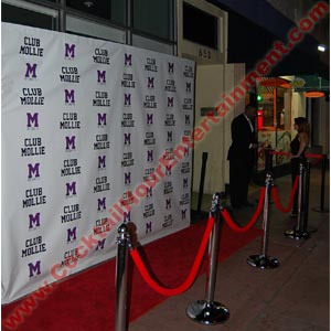 red carpet photo custom step & repeat